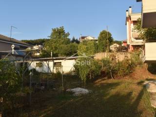 ΑΠΟΨΗ ΟΙΚΟΠΕΔΟΥ