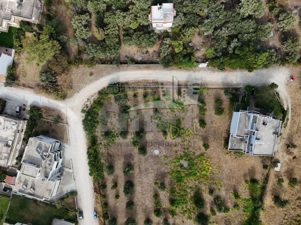 Εξωτερικοι χώροι