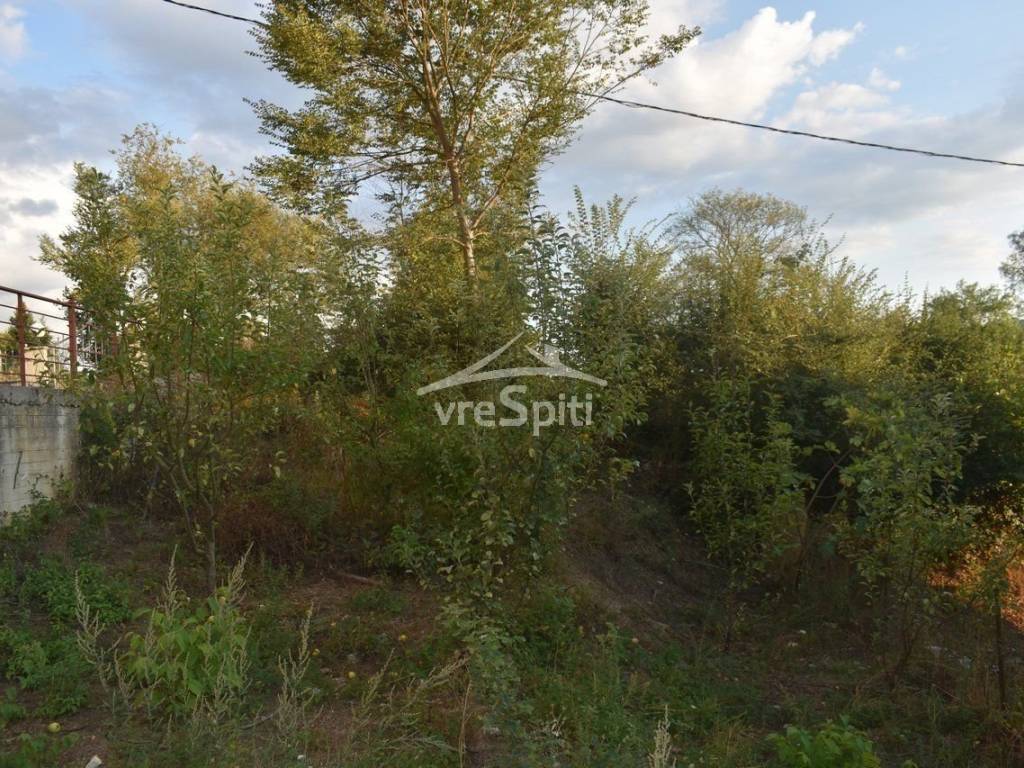 ΑΠΟΨΗ ΟΙΚΟΠΕΔΟΥ