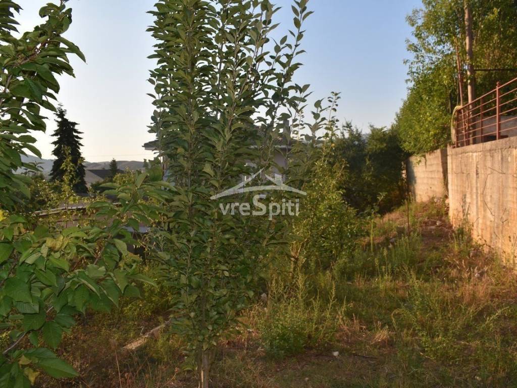 ΑΠΟΨΗ ΟΙΚΟΠΕΔΟΥ