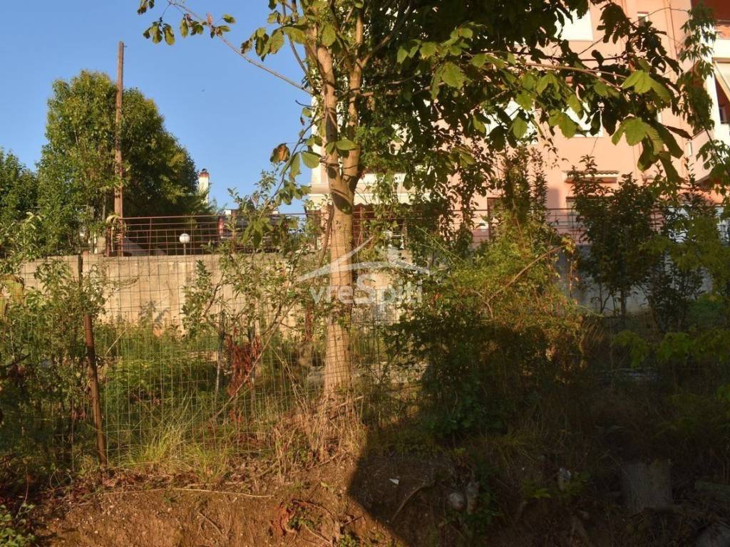 ΑΠΟΨΗ ΟΙΚΟΠΕΔΟΥ