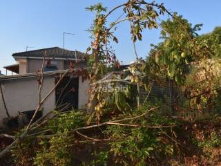 ΑΠΟΨΗ ΟΙΚΟΠΕΔΟΥ