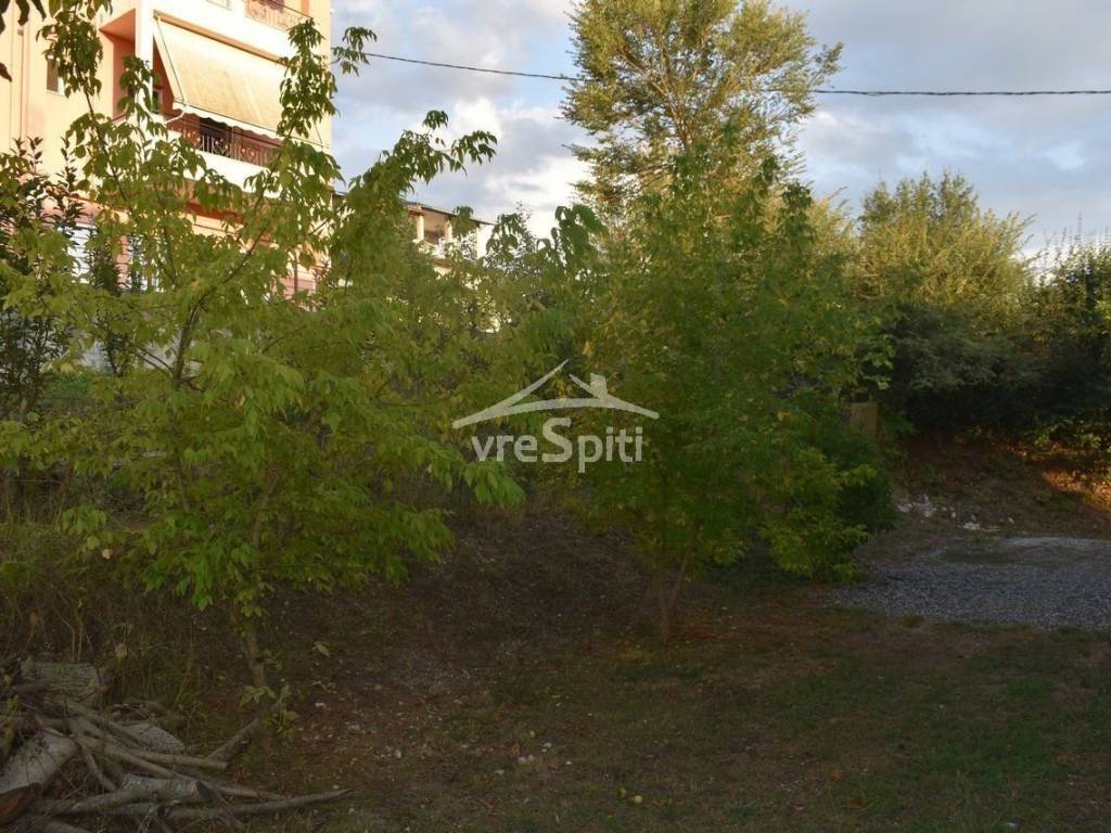 ΑΠΟΨΗ ΟΙΚΟΠΕΔΟΥ