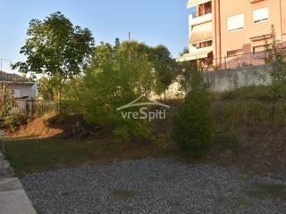 ΑΠΟΨΗ ΟΙΚΟΠΕΔΟΥ