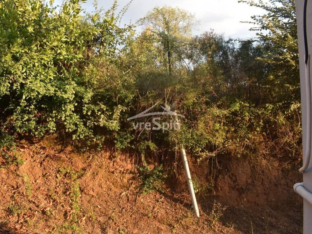 ΑΠΟΨΗ ΟΙΚΟΠΕΔΟΥ