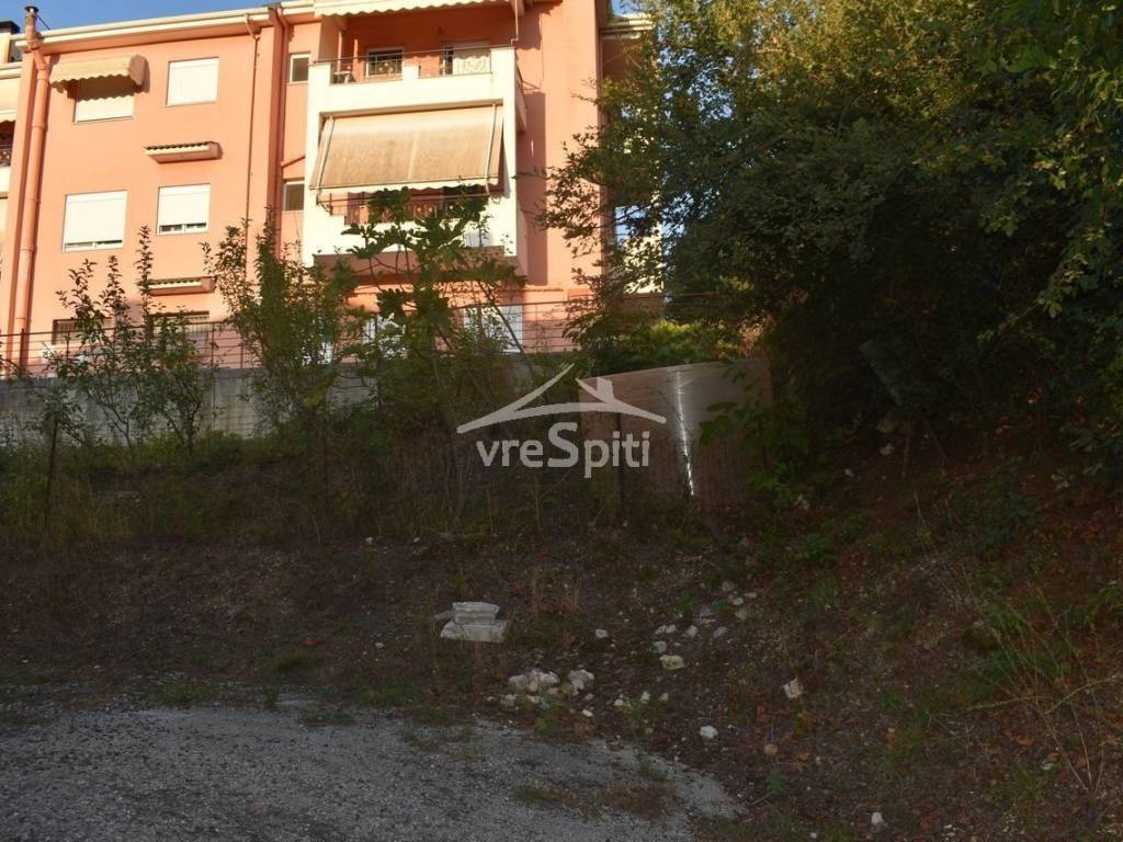 ΑΠΟΨΗ ΟΙΚΟΠΕΔΟΥ