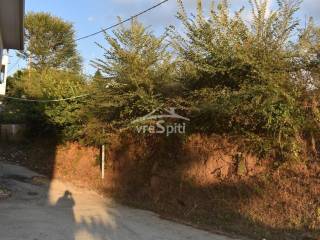 ΑΠΟΨΗ ΟΙΚΟΠΕΔΟΥ