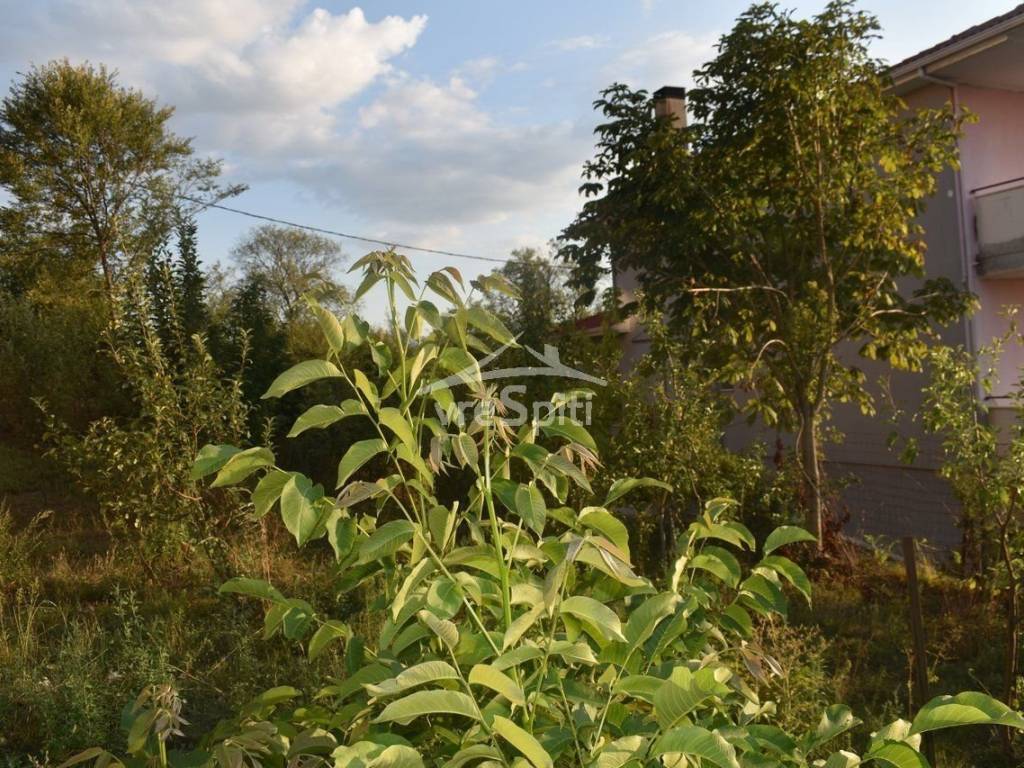 ΑΠΟΨΗ ΟΙΚΟΠΕΔΟΥ