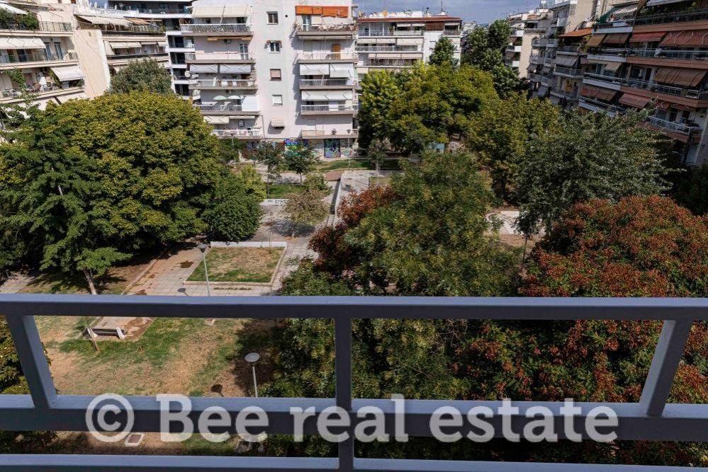 Άποψη εξωτερικού χώρου