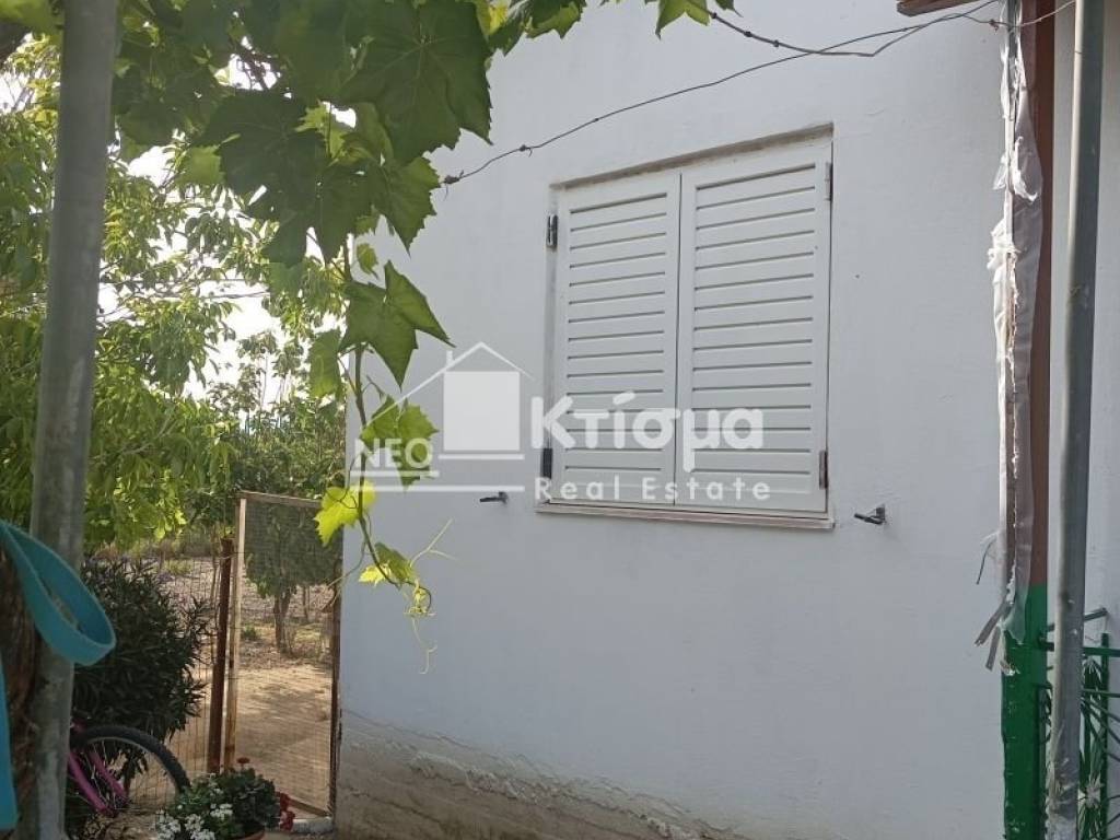 Εξωτερικός χώρος