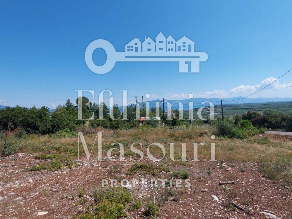 Εξωτερικοι χώροι