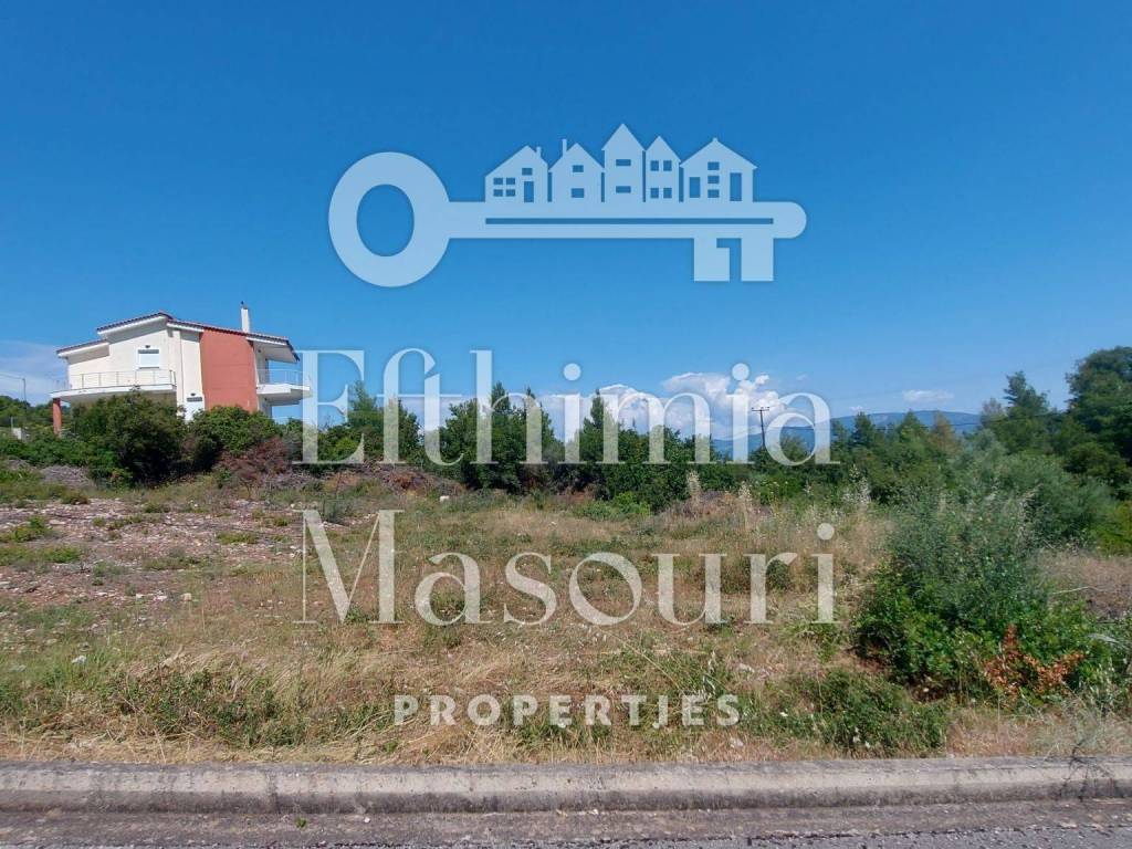 Εξωτερικοι χώροι