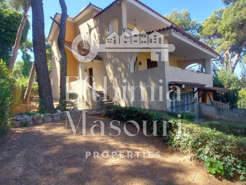 Εξωτερικοι χώροι