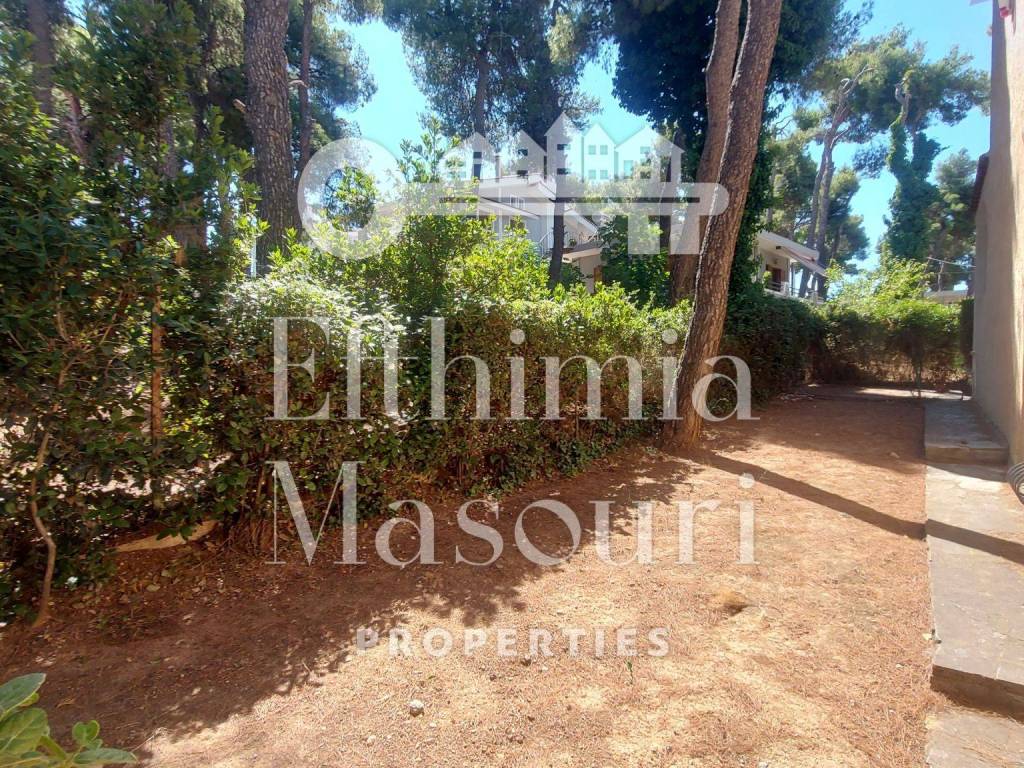 Εξωτερικοι χώροι