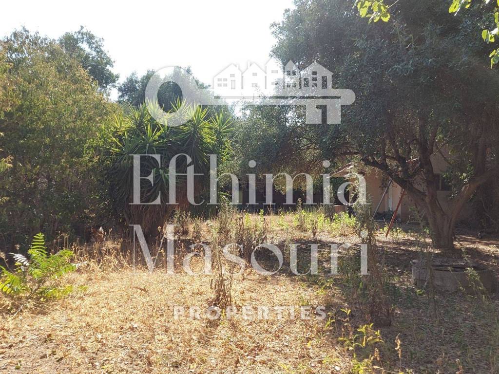 Εξωτερικοι χώροι