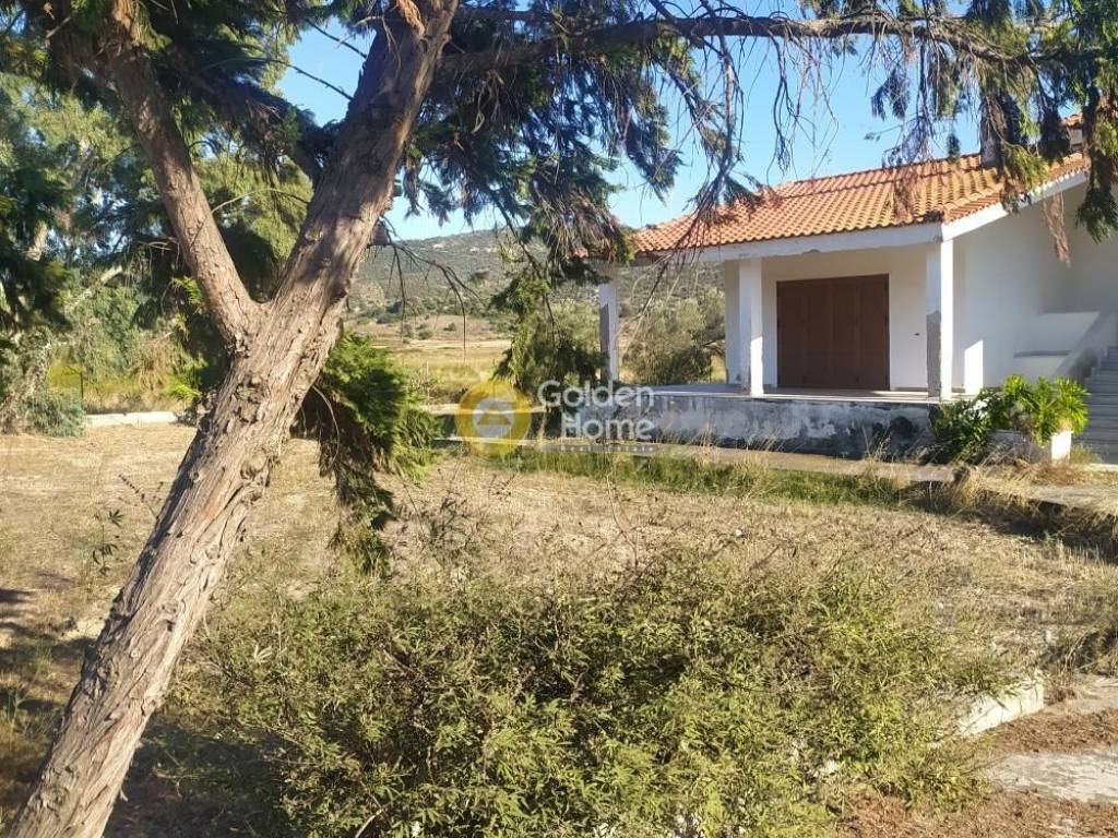 Εξωτερικός Χώρος