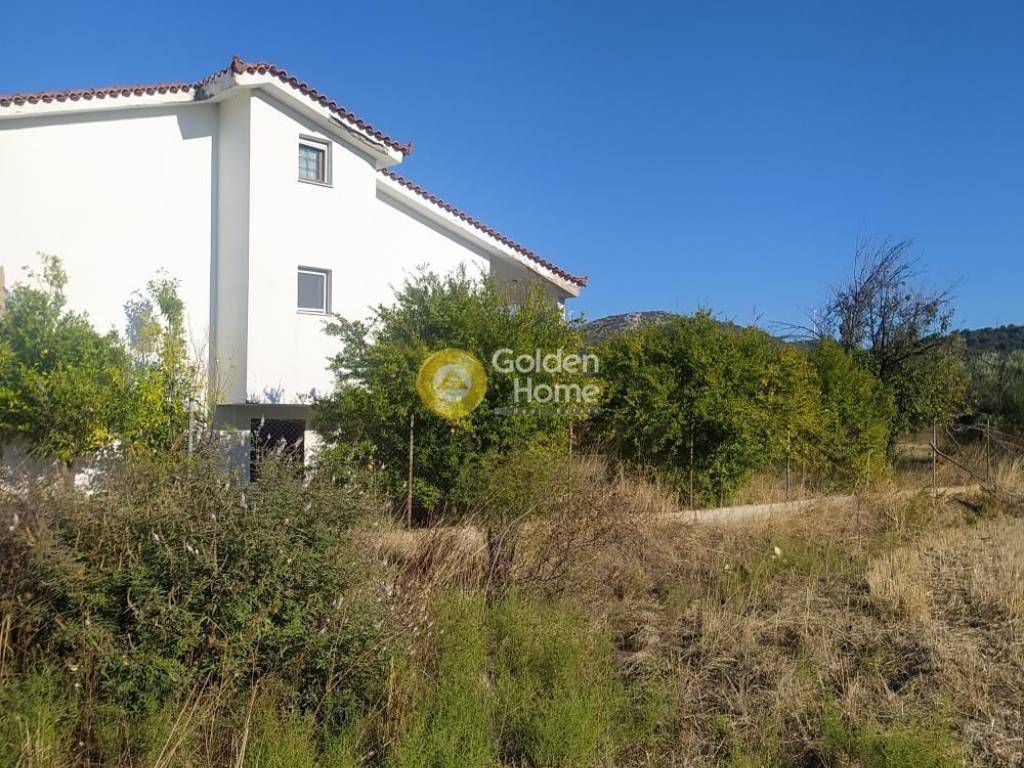 Εξωτερικός Χώρος