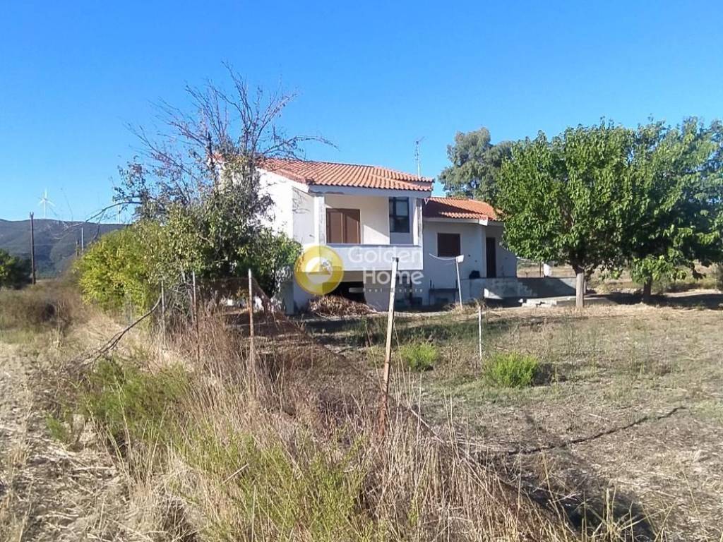 Εξωτερικός Χώρος