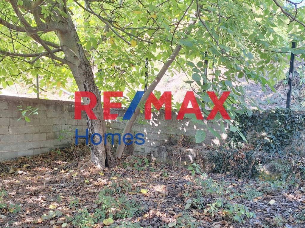 Εξωτερικοι χώροι