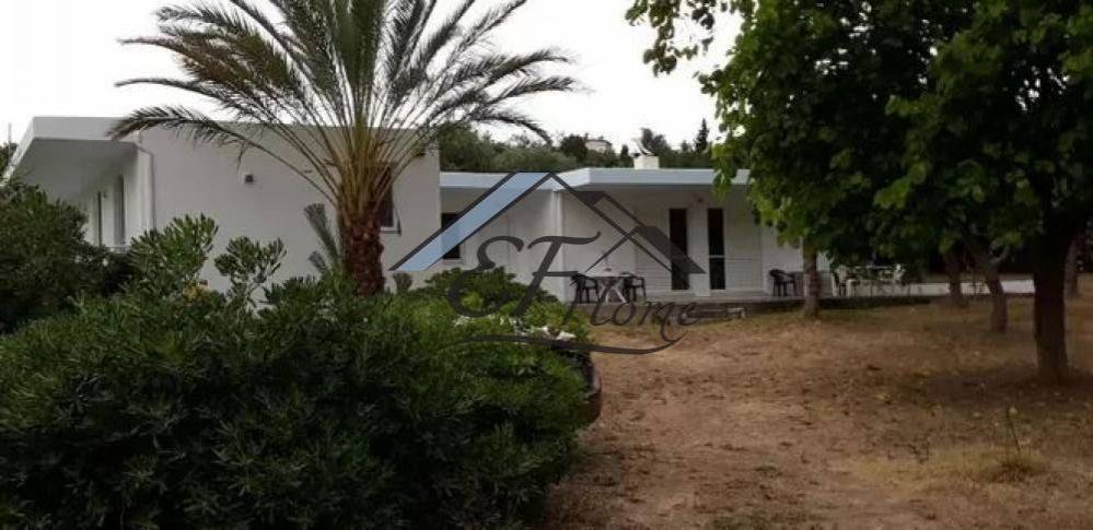 Εξωτερικά διαμορφωμένος χώρος