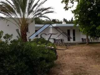 Εξωτερικά διαμορφωμένος χώρος