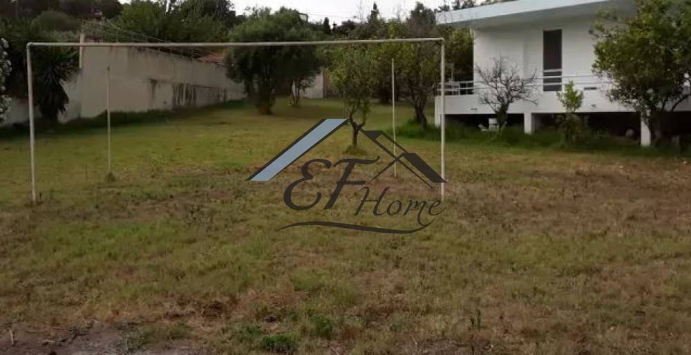 Εξωτερικά διαμορφωμένος χώρος