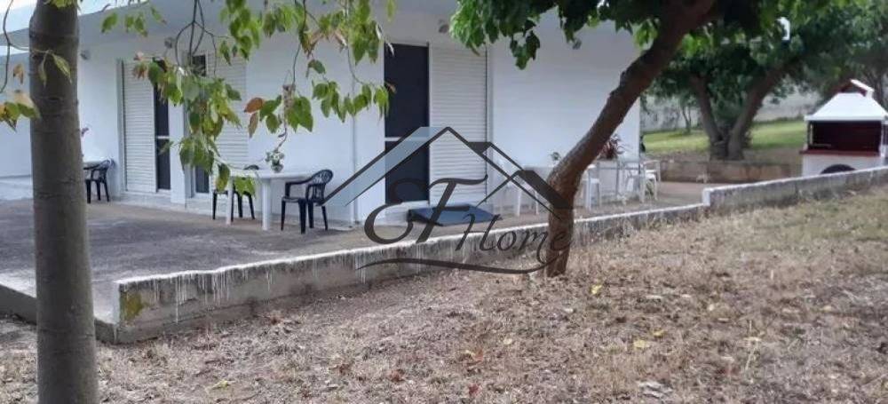 Εξωτερικά διαμορφωμένος χώρος