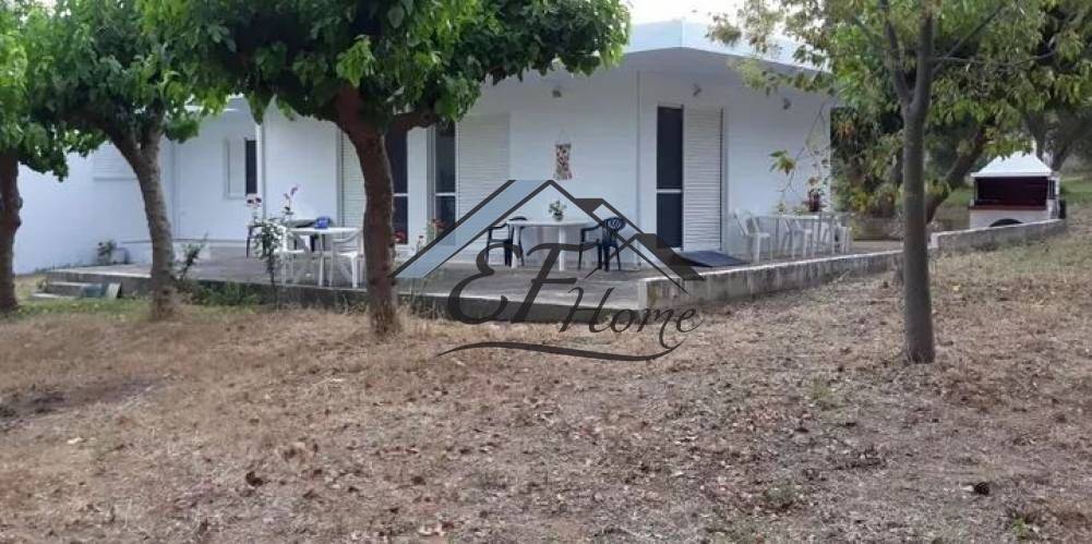 Εξωτερικά διαμορφωμένος χώρος