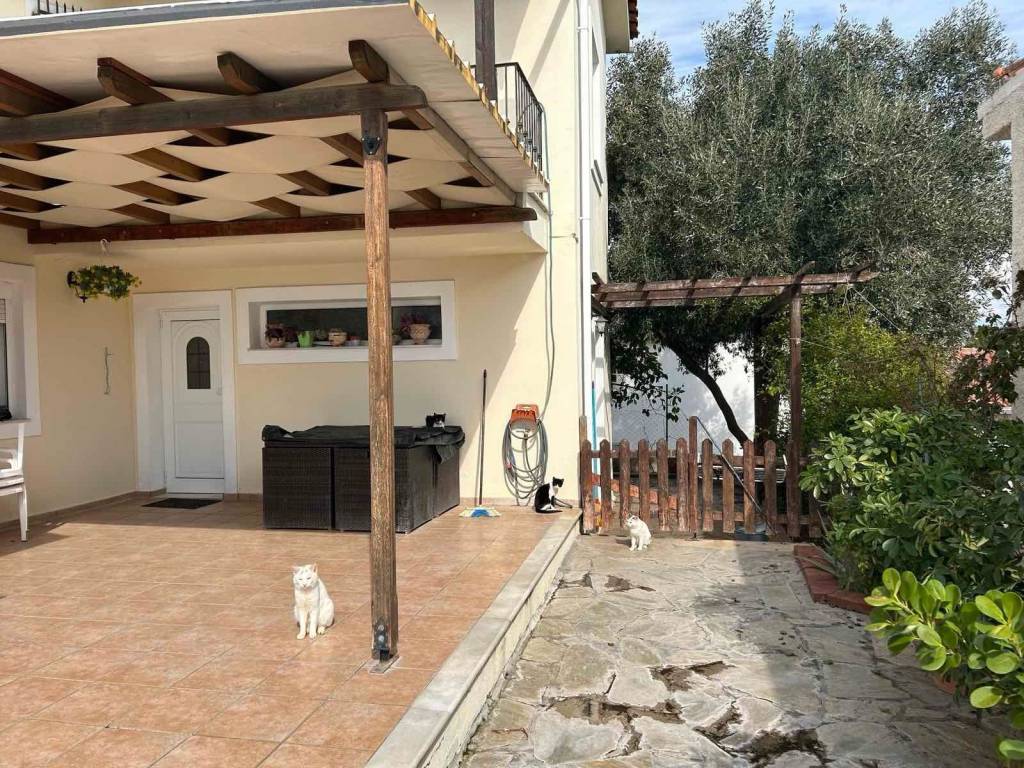 ΑΥΛΗ ΜΕ ΠΕΡΓΚΟΛΑ