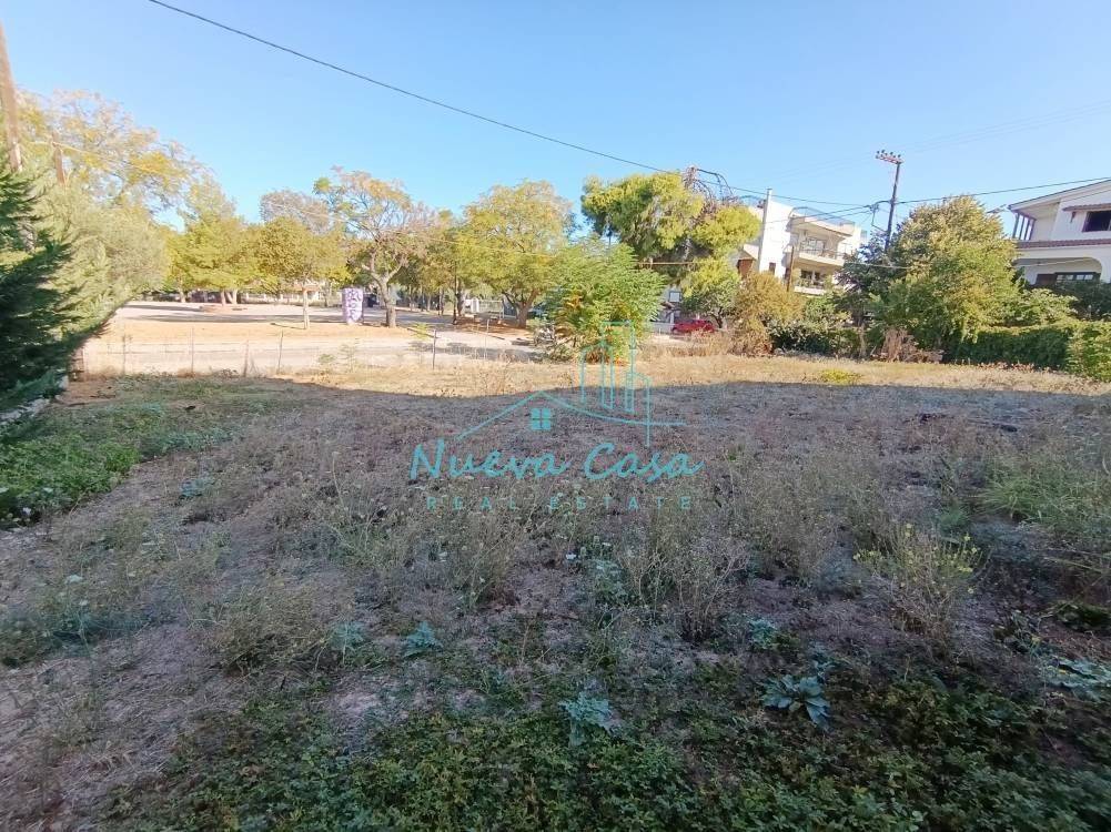 Άποψη χώρου