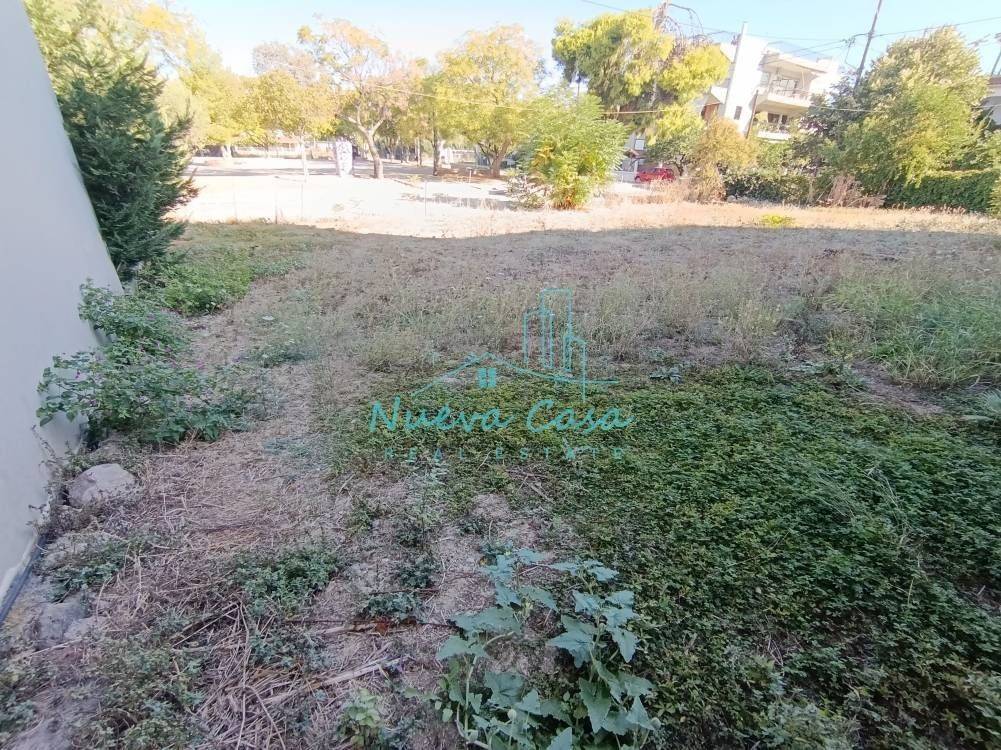 Άποψη χώρου