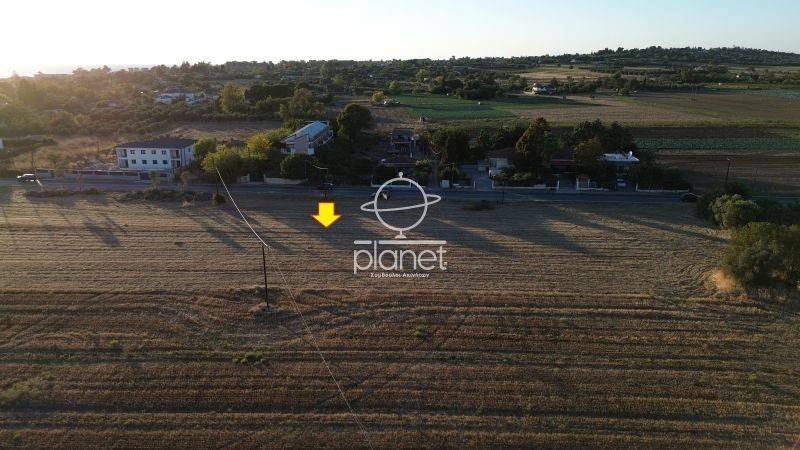 Ύπαρξη ανθρώπου