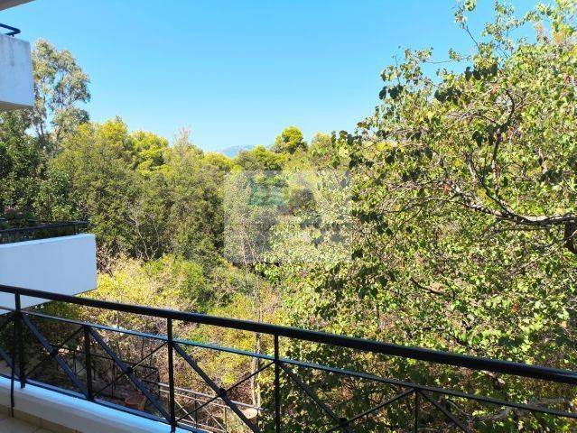 VIEW FROM THE BACK VERANDA