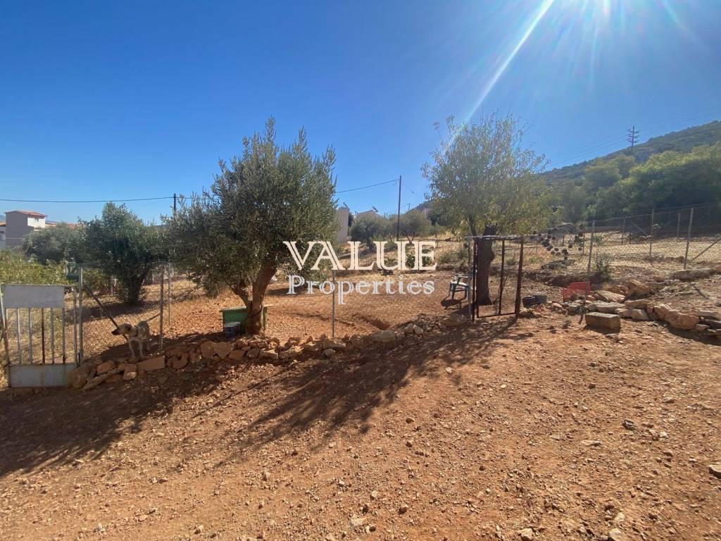 Εξωτερικοι χώροι