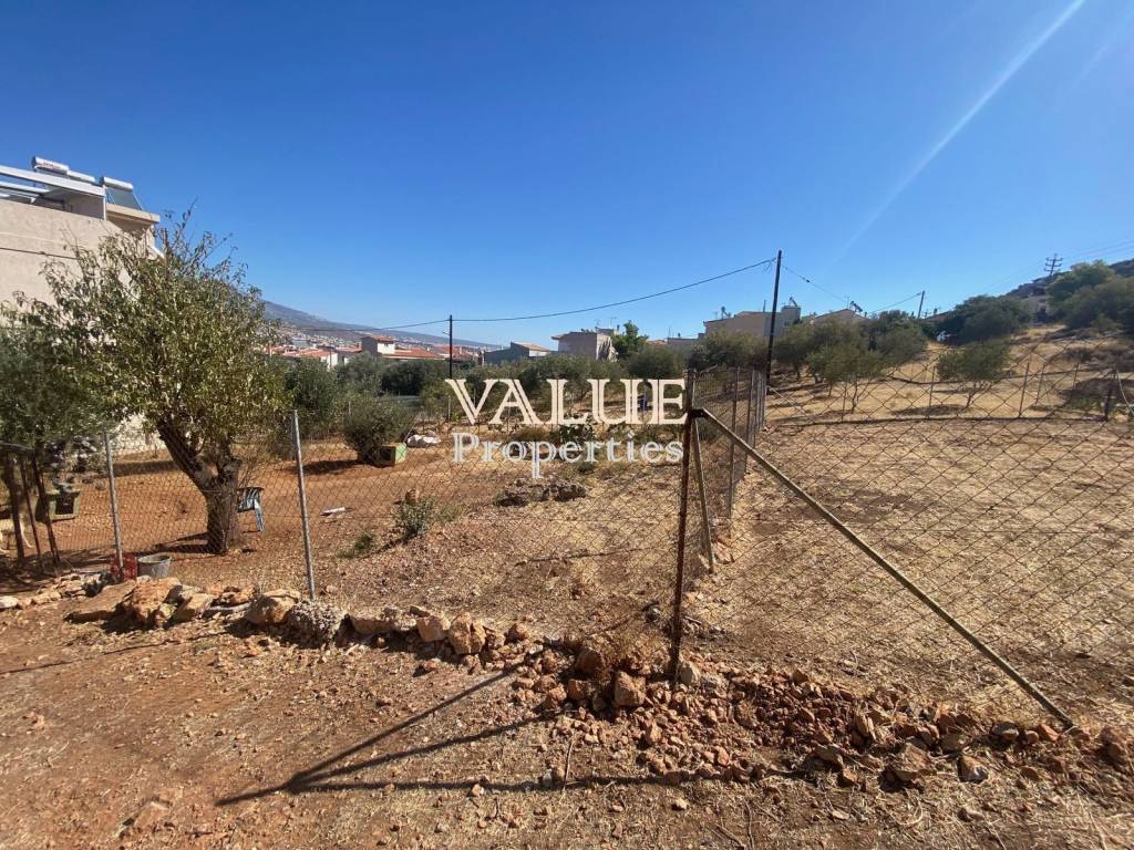 Εξωτερικοι χώροι