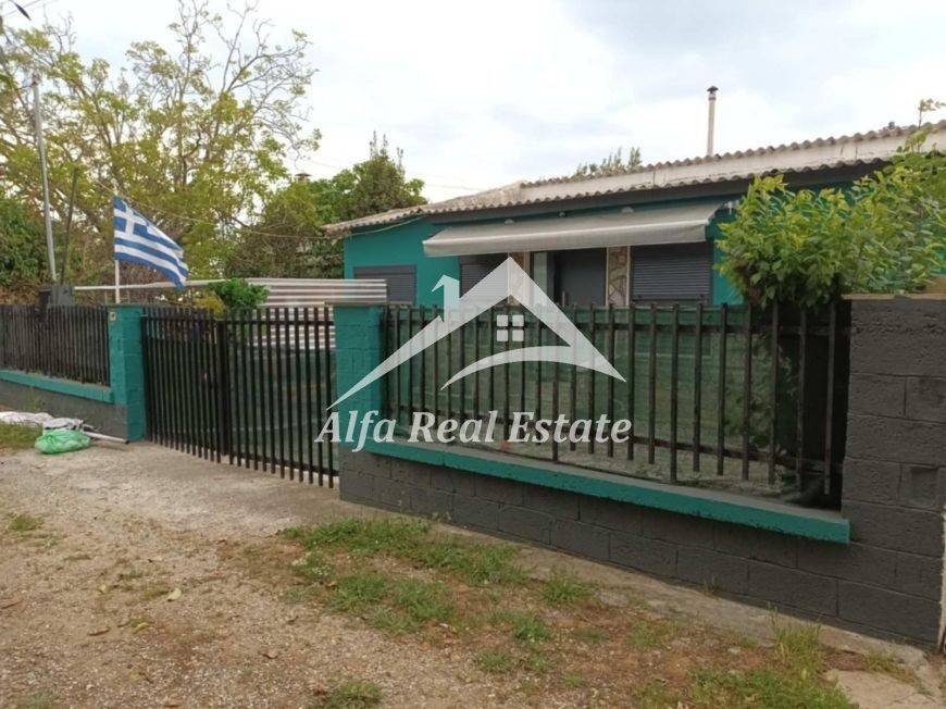 Εξωτερικός χώρος