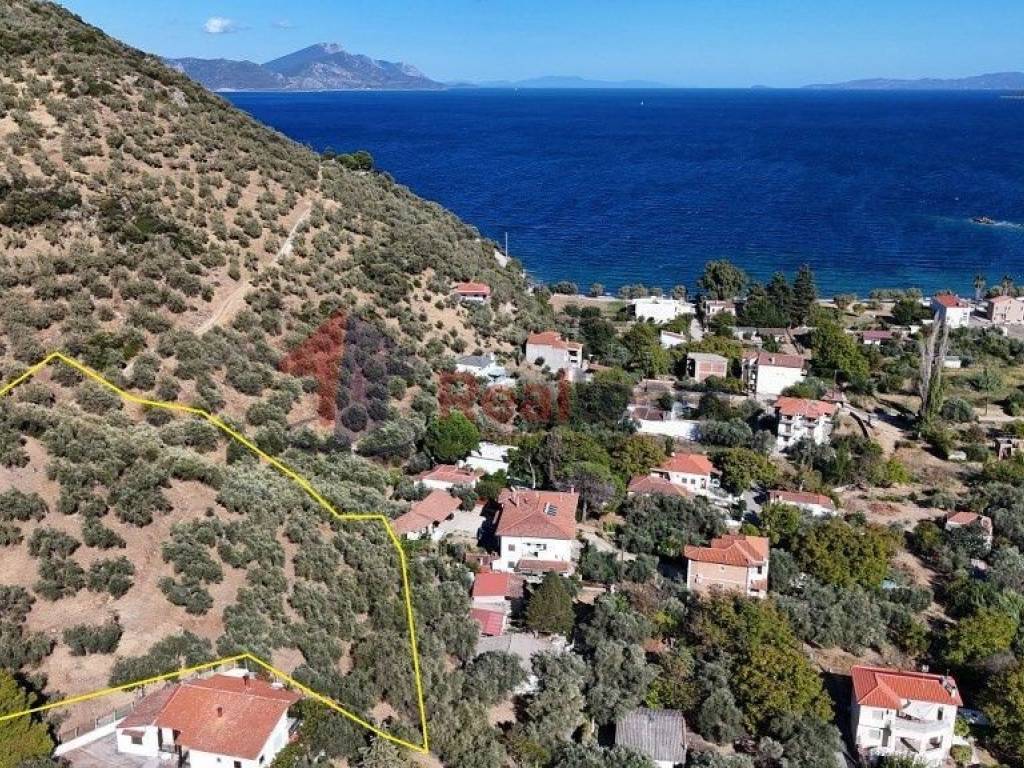 Εξωτερικοι χώροι