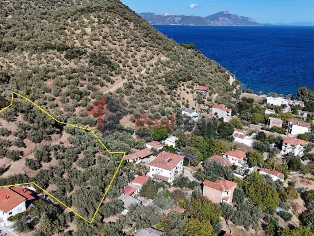 Εξωτερικοι χώροι