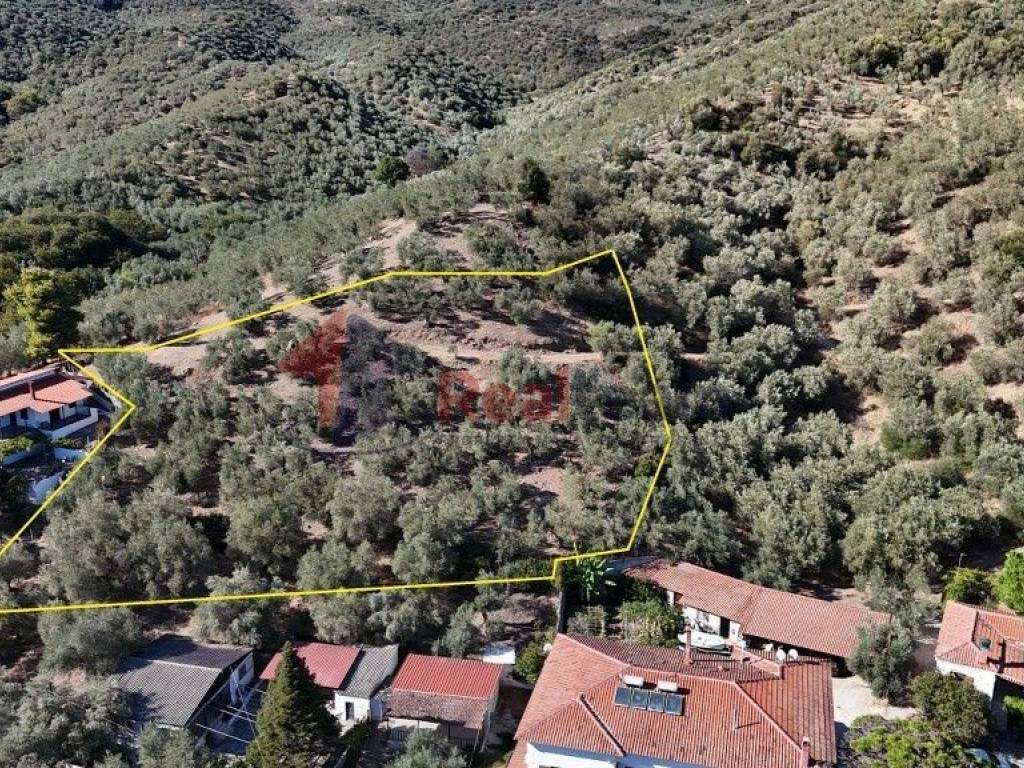 Εξωτερικοι χώροι