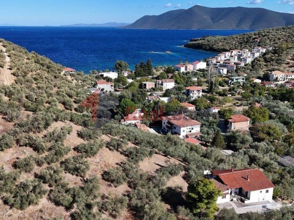 Εξωτερικοι χώροι