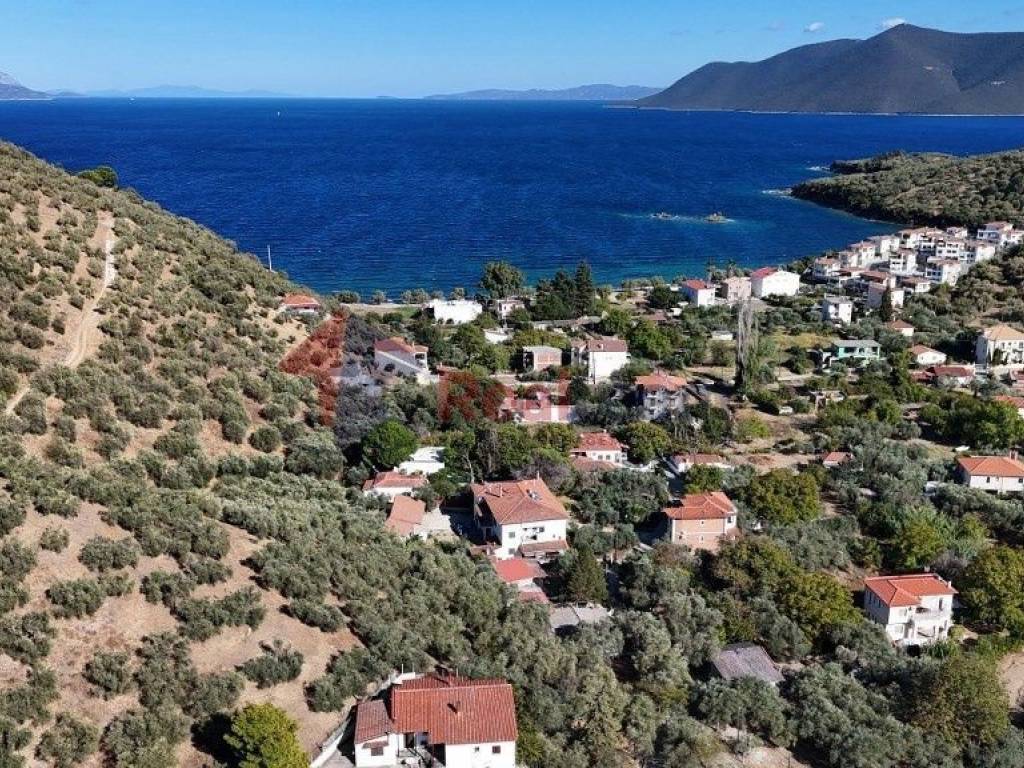 Εξωτερικοι χώροι