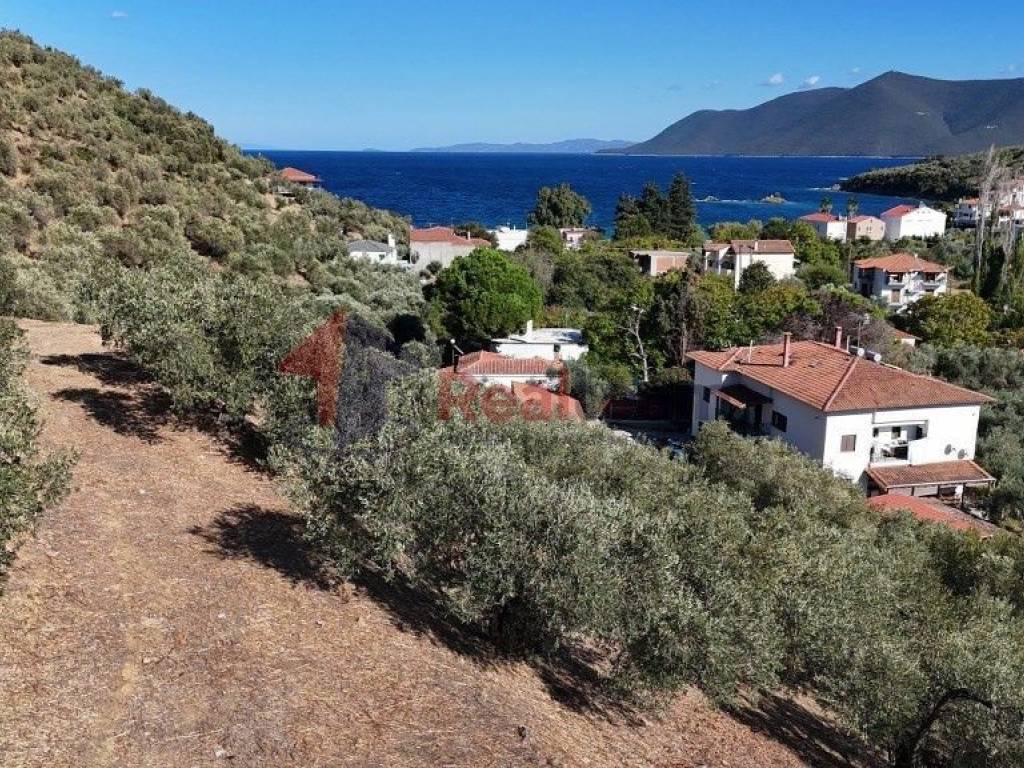 Εξωτερικοι χώροι