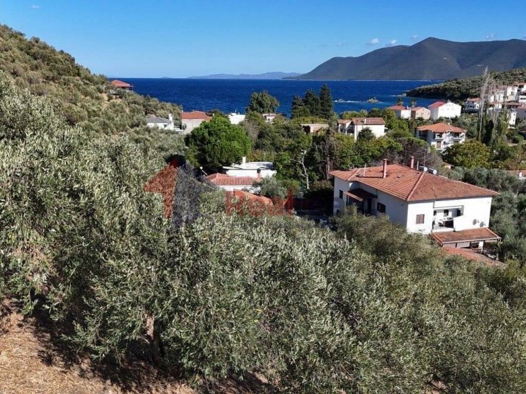 Εξωτερικοι χώροι