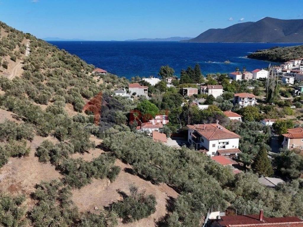 Εξωτερικοι χώροι