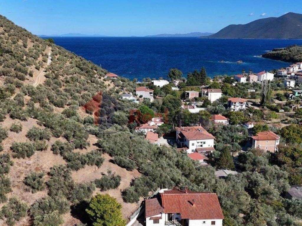 Εξωτερικοι χώροι