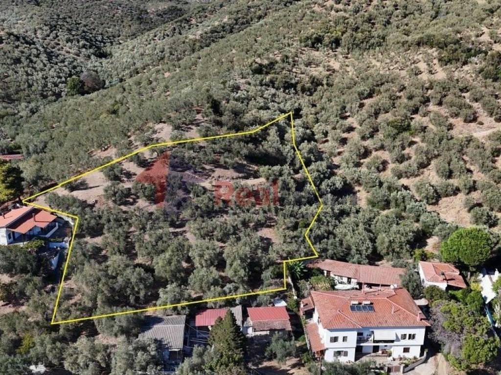 Εξωτερικοι χώροι