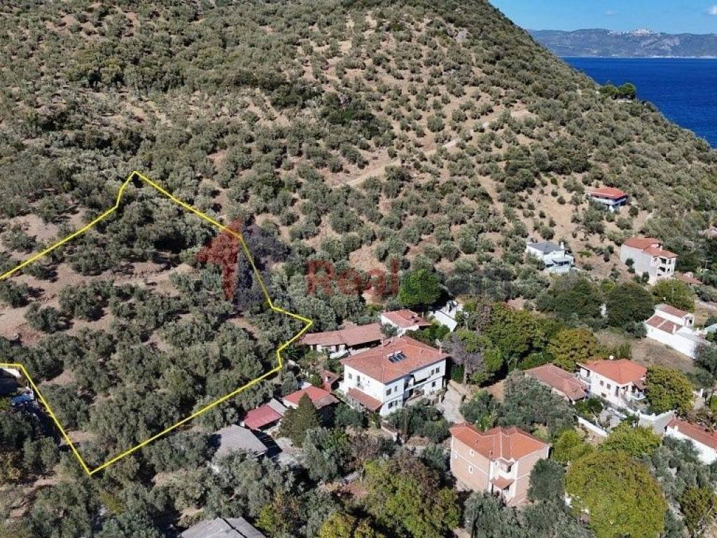 Εξωτερικοι χώροι