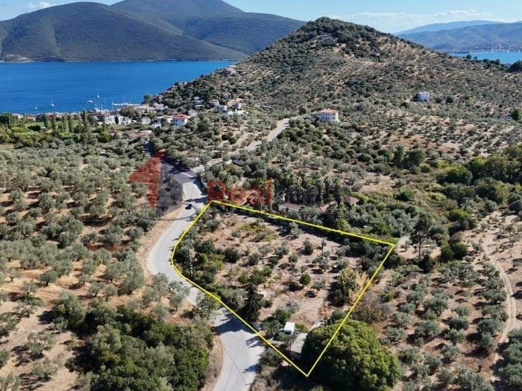 Εξωτερικοι χώροι