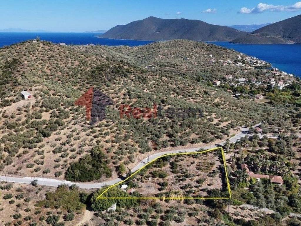 Εξωτερικοι χώροι