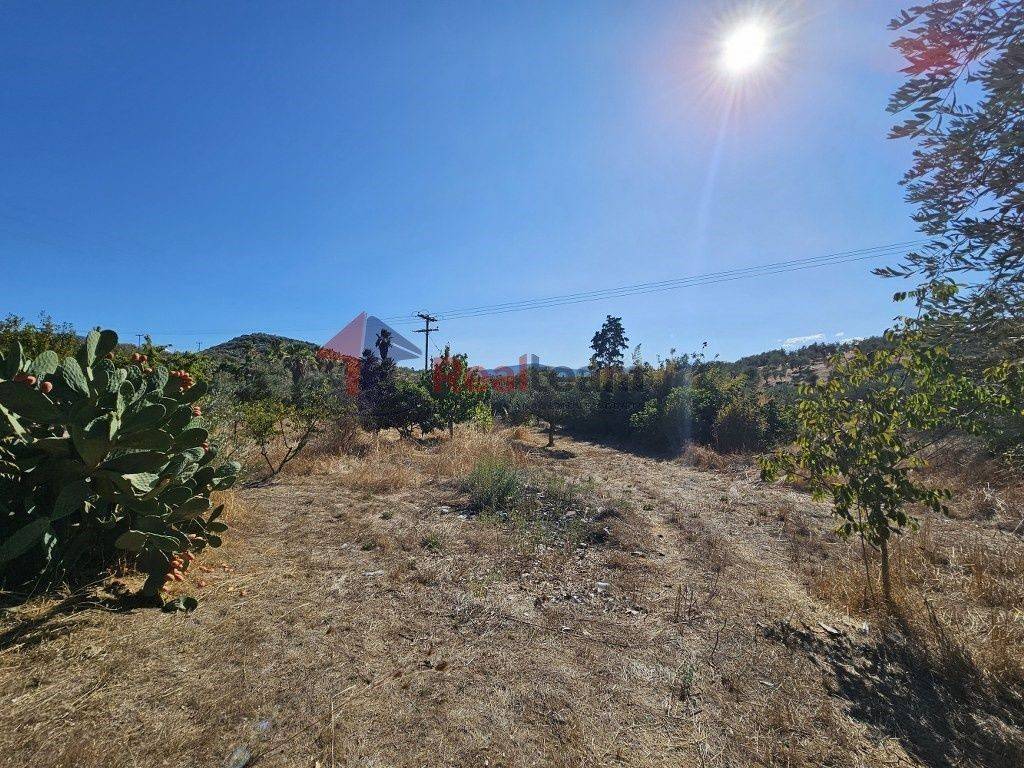 Εξωτερικοι χώροι